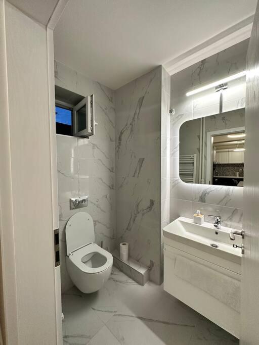Ultracentral Luxury Apartament Тимишоара Екстериор снимка
